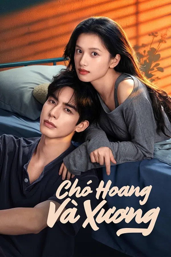 Xem Phim Chó Hoang Và Xương Vietsub HD Online